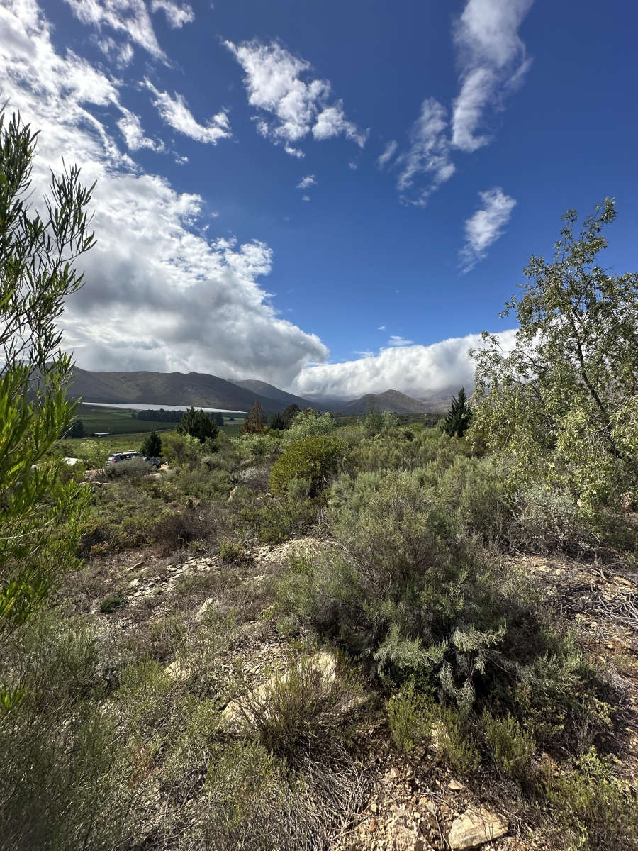 0 Bedroom Property for Sale in Barrydale Western Cape